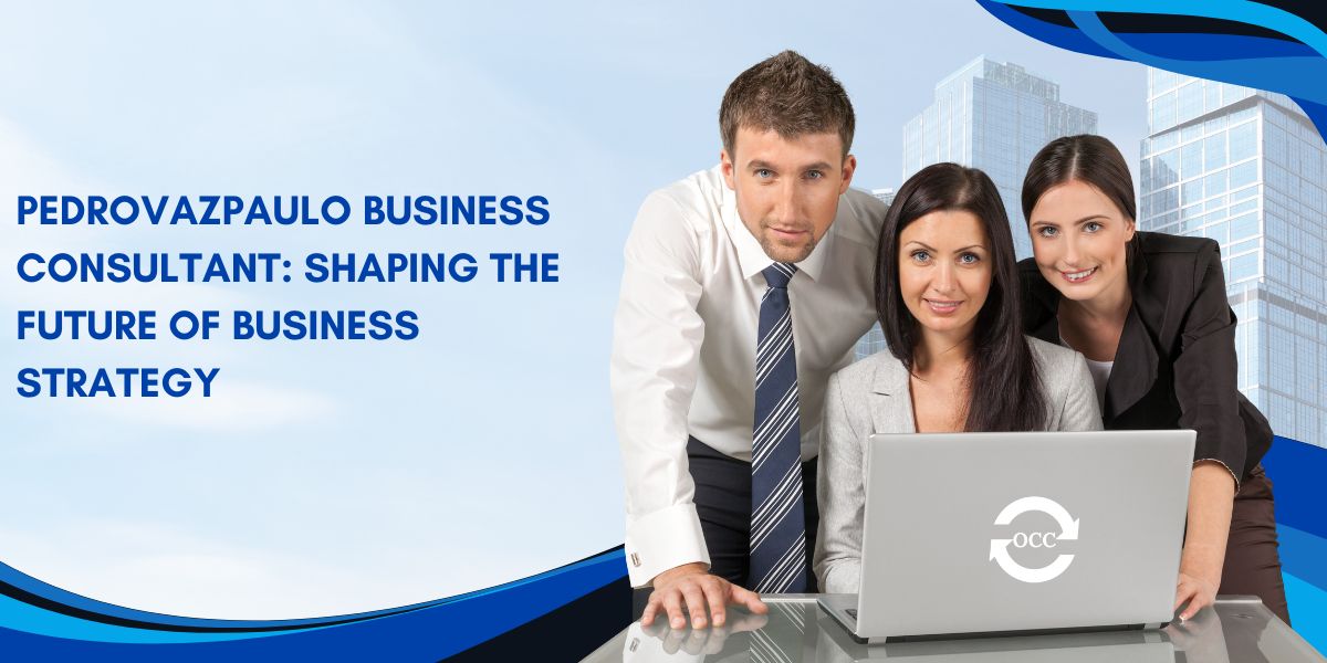 Pedrovazpaulo Business Consultant